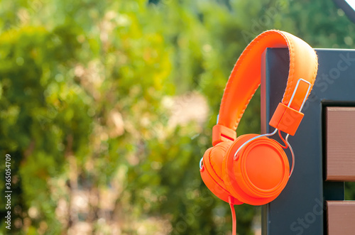 Fototapeta Naklejka Na Ścianę i Meble -  Orange headphones on the bench in the park