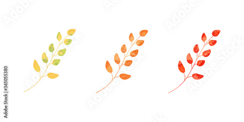 Autumn leaf isolated on white	