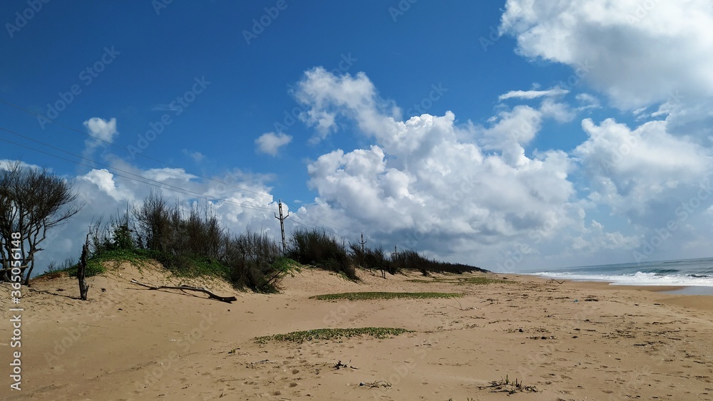 sand dunes on the beach