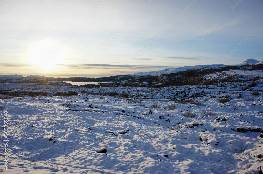winter moment winter moment