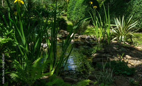 Beautiful small garden pond with stone shores and many decorative evergreens in the spring garden. Selective focus. Nature concept for design