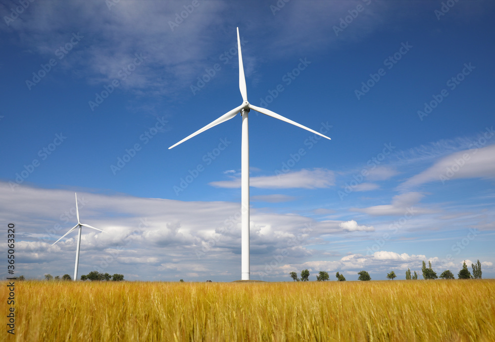 Beautiful view of field with wind turbines. Alternative energy source Beautiful view of field with wind turbines. Alternative energy source