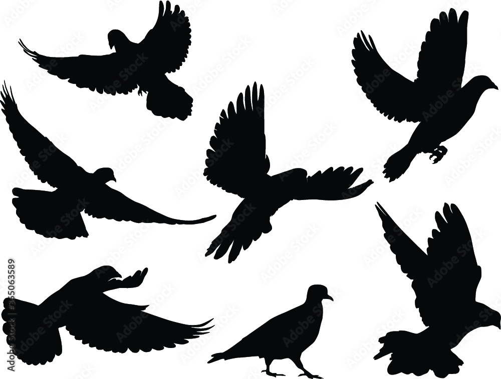 Fototapeta premium Silhouettes of doves in many different flying positions and angles