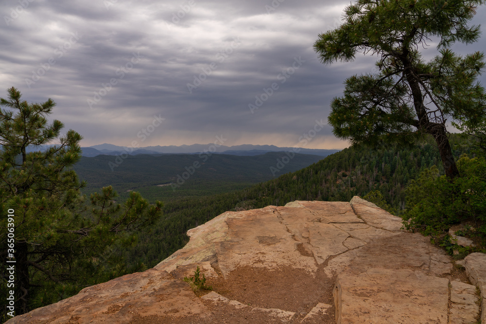 This is a view of the valley from FR 300 on the Mogollon Rim in Arizona. I am standing on a rock ledge with trees  hanging on the edge of the cliff.