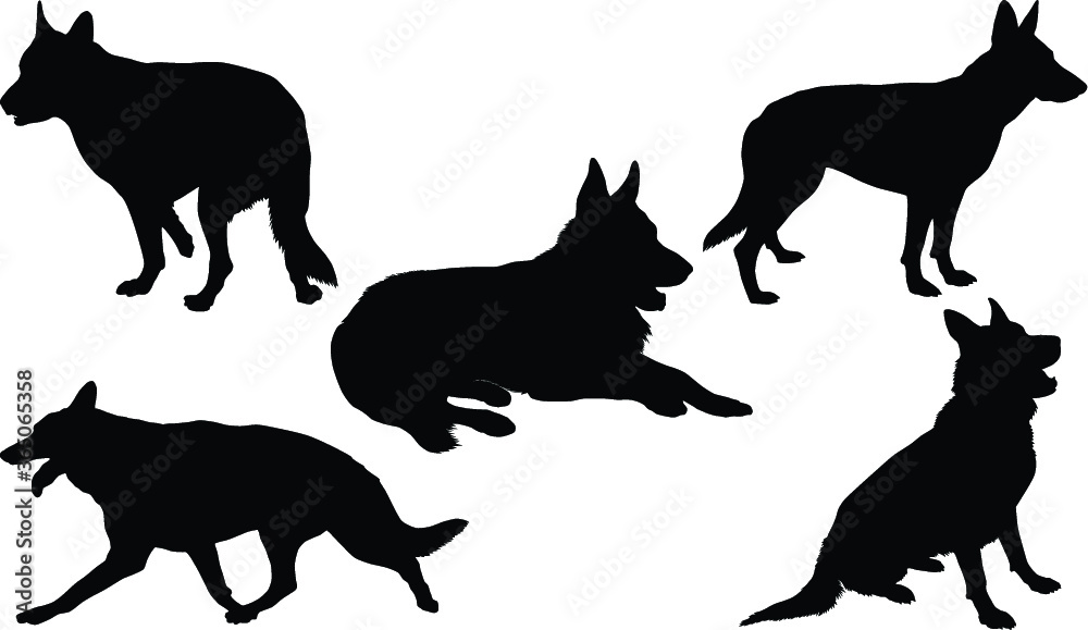 Black silhouettes of an German Shepherd dog in various poses on a white background Black silhouettes of an German Shepherd dog in various poses on a white background