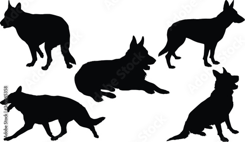 Black silhouettes of an German Shepherd dog in various poses on a white background
