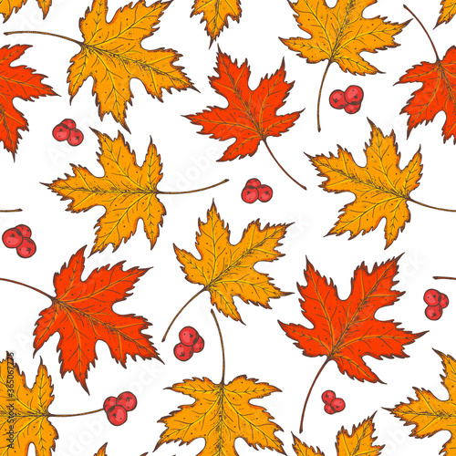 Autumn leaves seamless pattern. Fall background. Hand drawn design. Vector illustration. Colorful maple leaves.