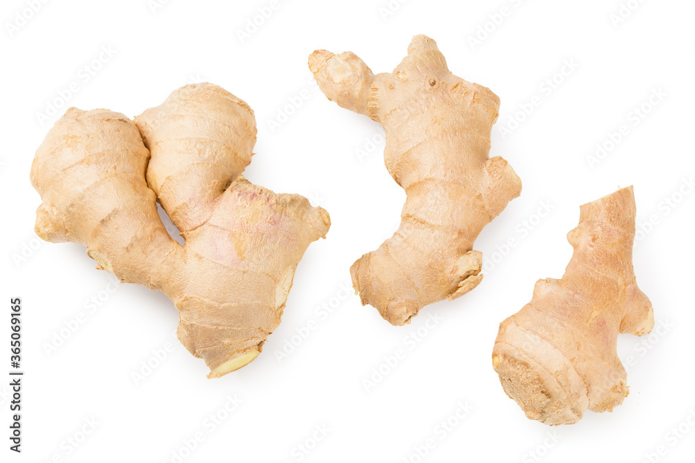 ginger rhizome isolated on white background. Top view ginger rhizome isolated on white background. Top view