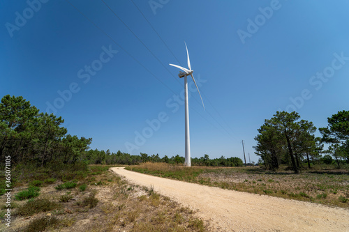 Wind turbine isolated on a renewable energy wind farm eco field. Green ecological power energy sustainable generation. Curvy road through eolic park