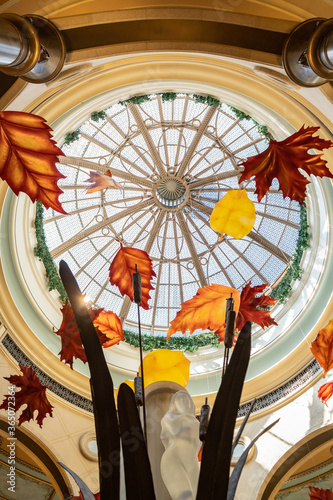 Photography Leaves Fallins