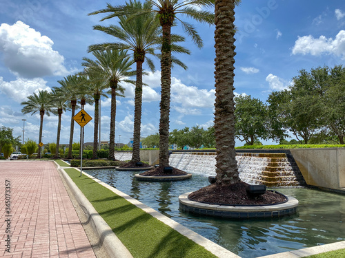 An outdoor view of a water feature at a mall with a line of palm trees beside it. photo
