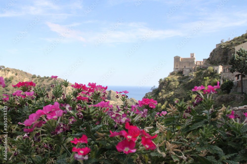 flowers on the coast Sicily, view, Italy, mountains, flowers