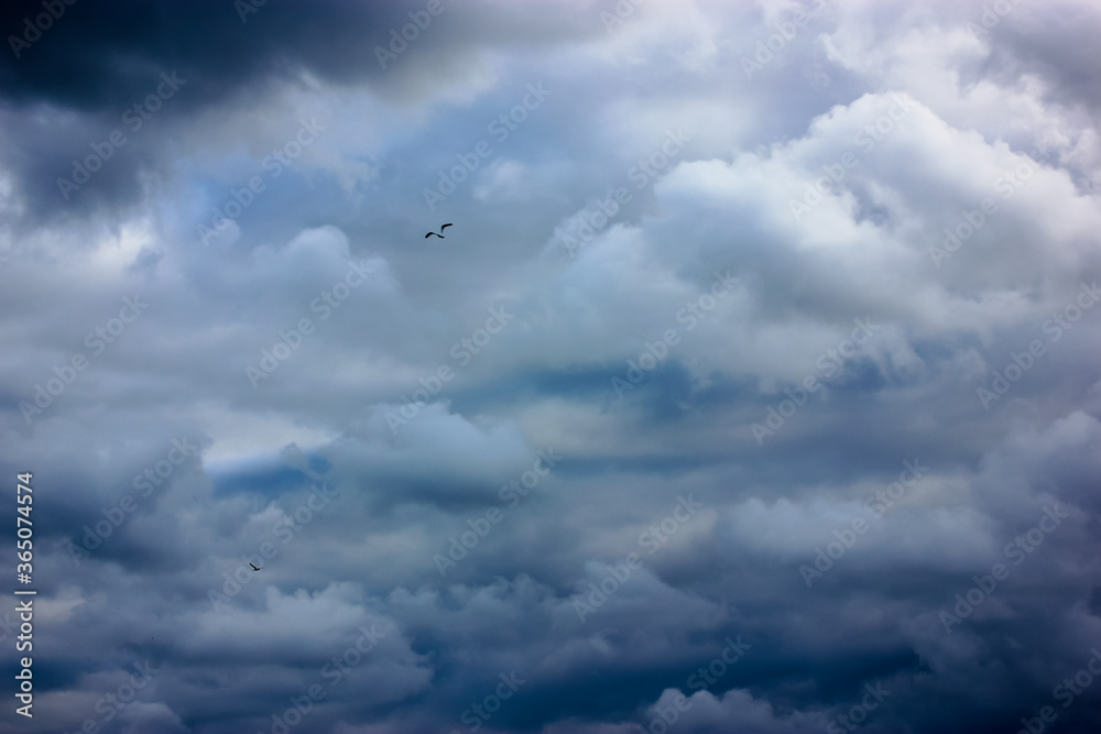 A stormy blue sky with curly white clouds at sea in summer, a gull or cormorant flying high above the ground A stormy blue sky with curly white clouds at sea in summer, a gull or cormorant flying high above the ground