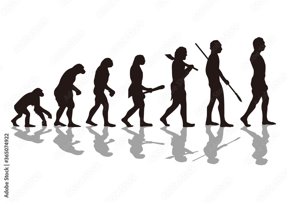 人類の進化 人類の進化