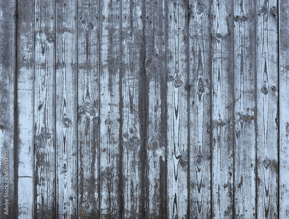 old natural wooden cladding with blue paint flaking off  outdoors