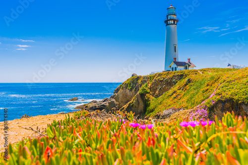 Pigeon Point Lighthouse, Landmark of Pacific Coast Highway (Highway 1) at Big Sur, surrounded with colorful wildflowers in spring time, California photo