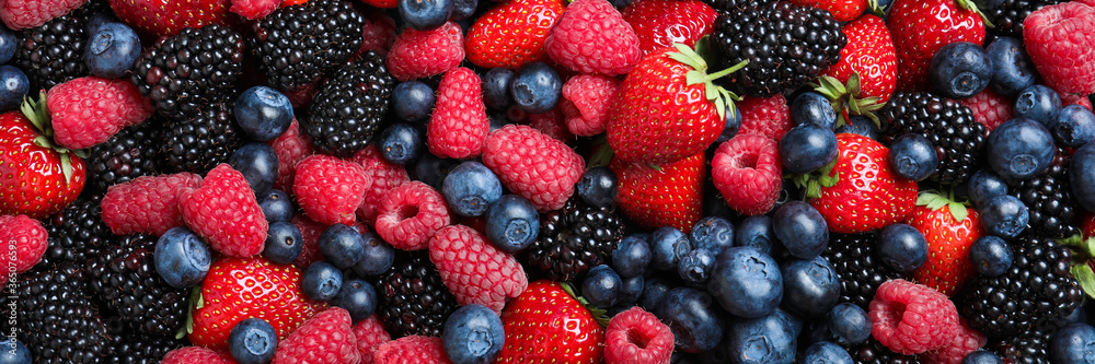 Mix of different fresh berries as background, banner design Mix of different fresh berries as background, banner design