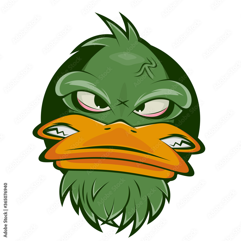 Angry duck -  Schweiz