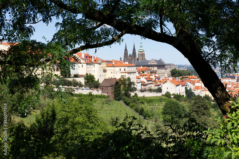 Prague City with gothic Castle and the green Nature from the Hill Petrin, Czech Republic