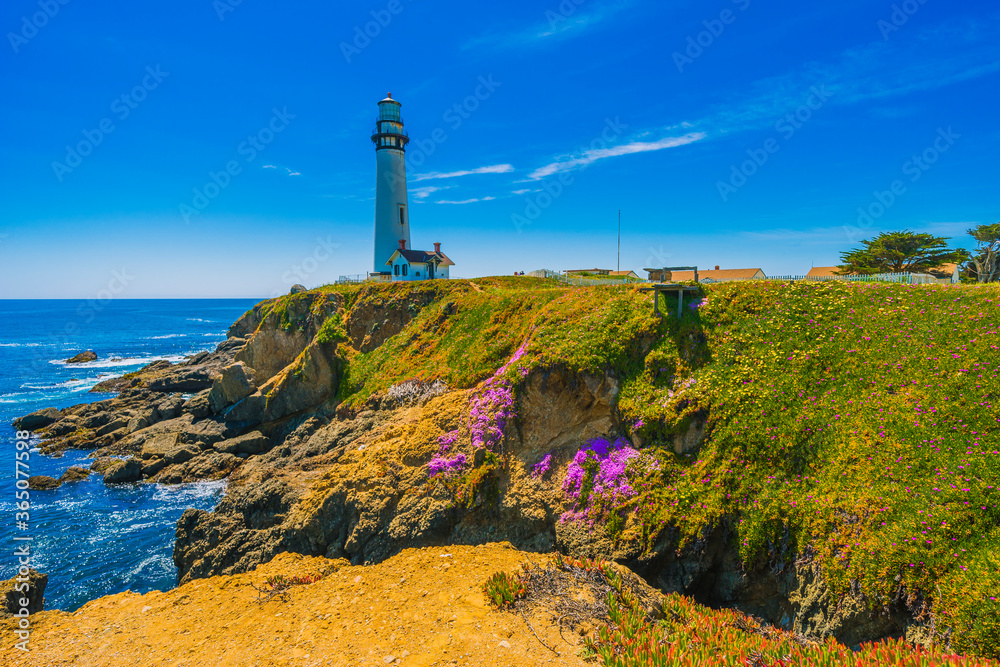 Pigeon Point Lighthouse, Landmark of Pacific Coast Highway (Highway 1) at Big Sur, surrounded with colorful wildflowers in spring time, California