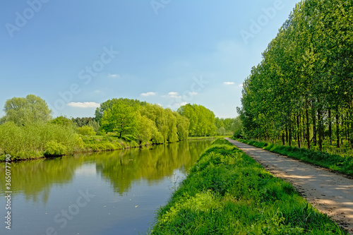 Canal 'De Moer', with green borders and trees in the flemish countryside photo