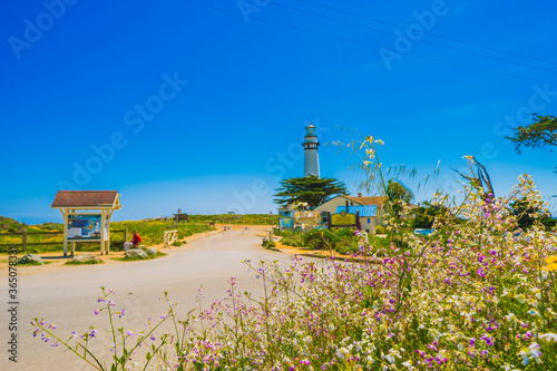 Pigeon Point Lighthouse, Landmark of Pacific Coast Highway (Highway 1) at Big Sur, surrounded with colorful wildflowers in spring time, California photo