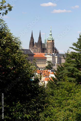 Prague City with gothic Castle and the green Nature from the Hill Petrin  Czech Republic