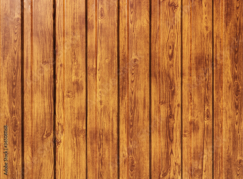 The texture of a shiny wooden fence. The structure of the fence made of wooden boards
