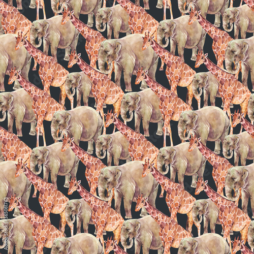 Photography Elephant, Giraffe watercolor seamless pattern on black background