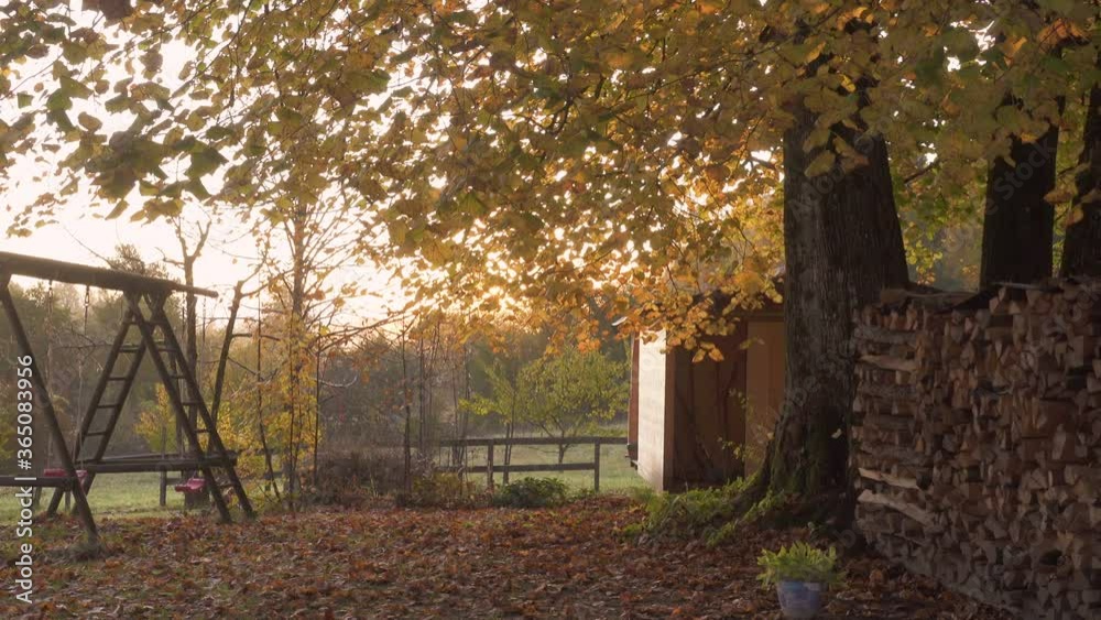 wooden playground near rural house at the foggy autumn morning
wooden playground near rural house at the foggy autumn morning