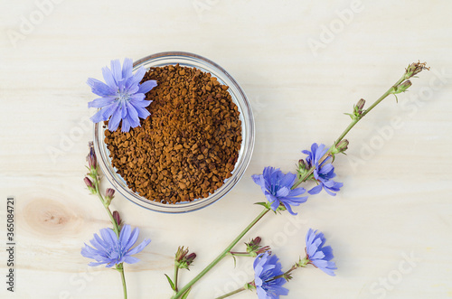 instant freeze dried granules from chicory root on wooden background. dry powder and fresh blue flowers. natural coffee substitute. drink for children.