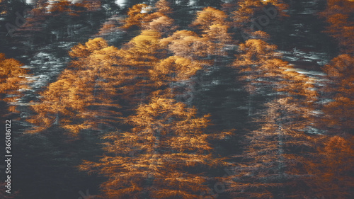 Glitch Texture