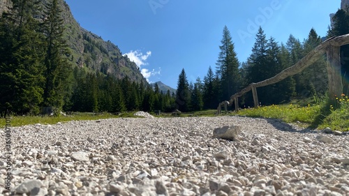 yosemite national park