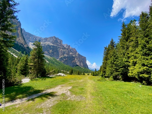 mountain landscape in the summer