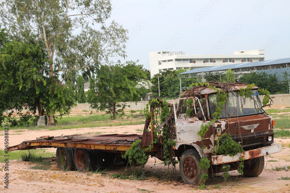 Fototapeta premium Old truck parked outside with vine at outdoors