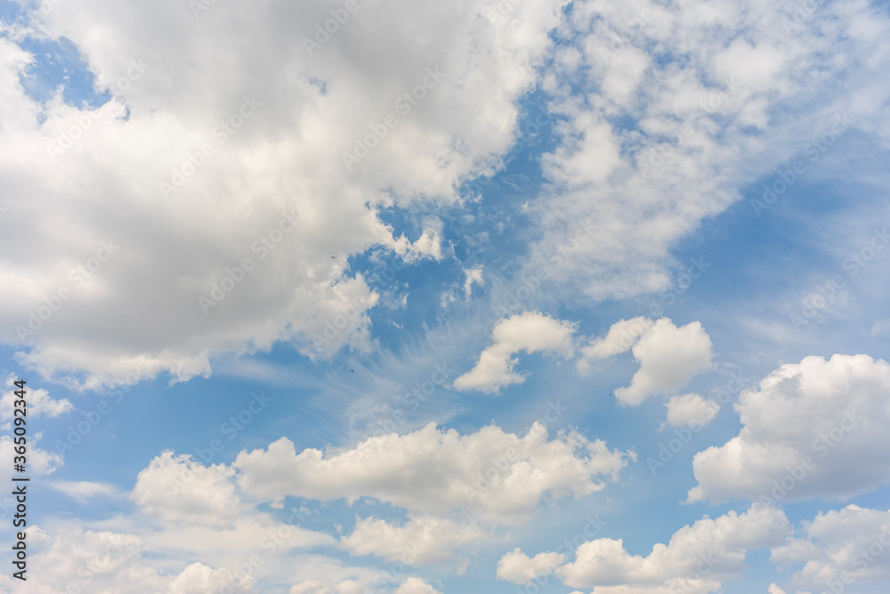 summer clouds on the blue sky summer clouds on the blue sky