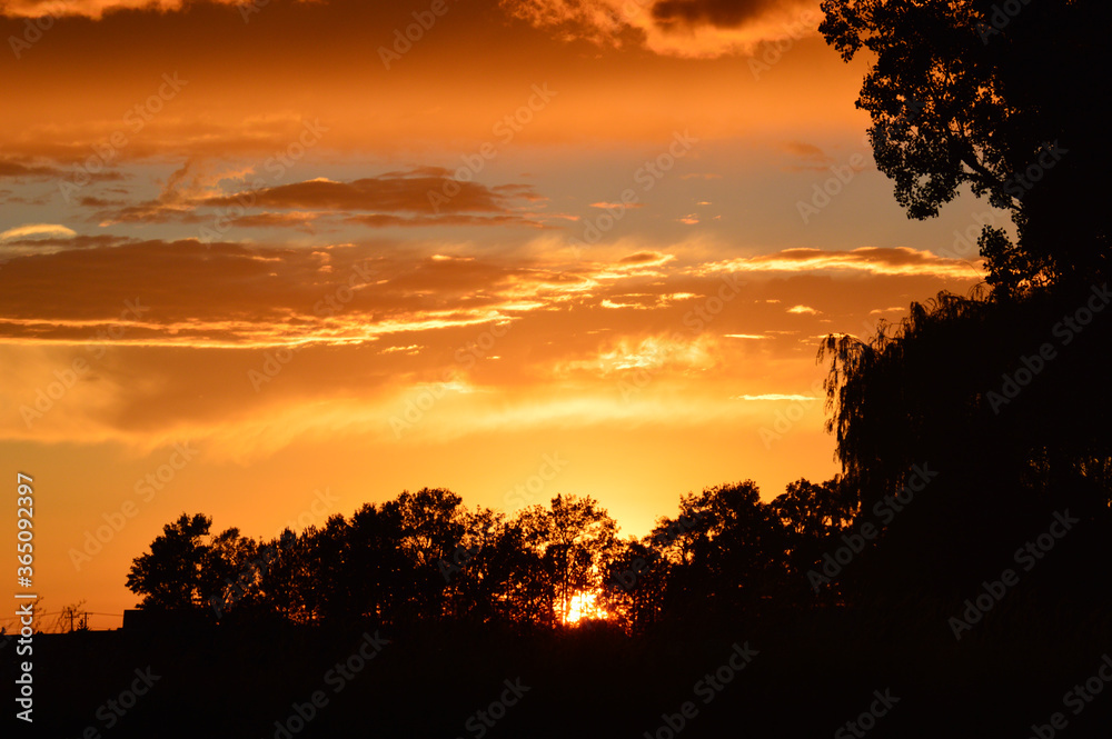 Sunset with trees