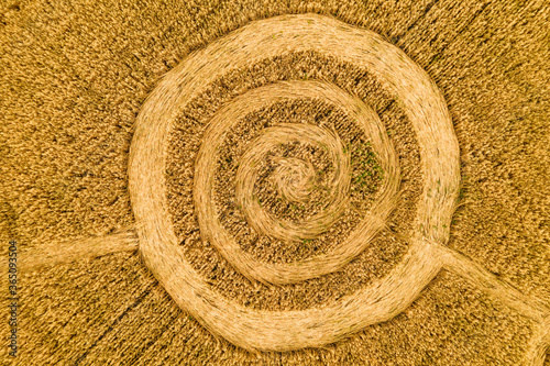 Fake UFO circles on grain crop yellow field, aerial view from drone. Round geometry shape symbols as alien signs, mystery concept.