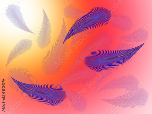 Blue feathers on a pink transparent background.