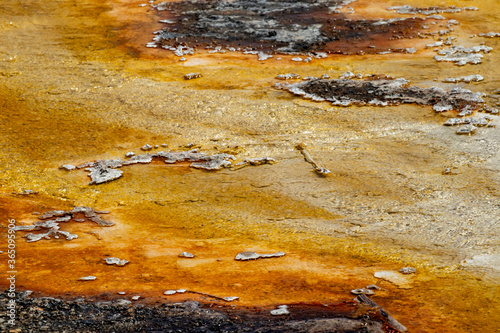 bacteria in water at Yellowstone