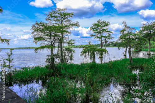 Singletary Lake Serenity photo