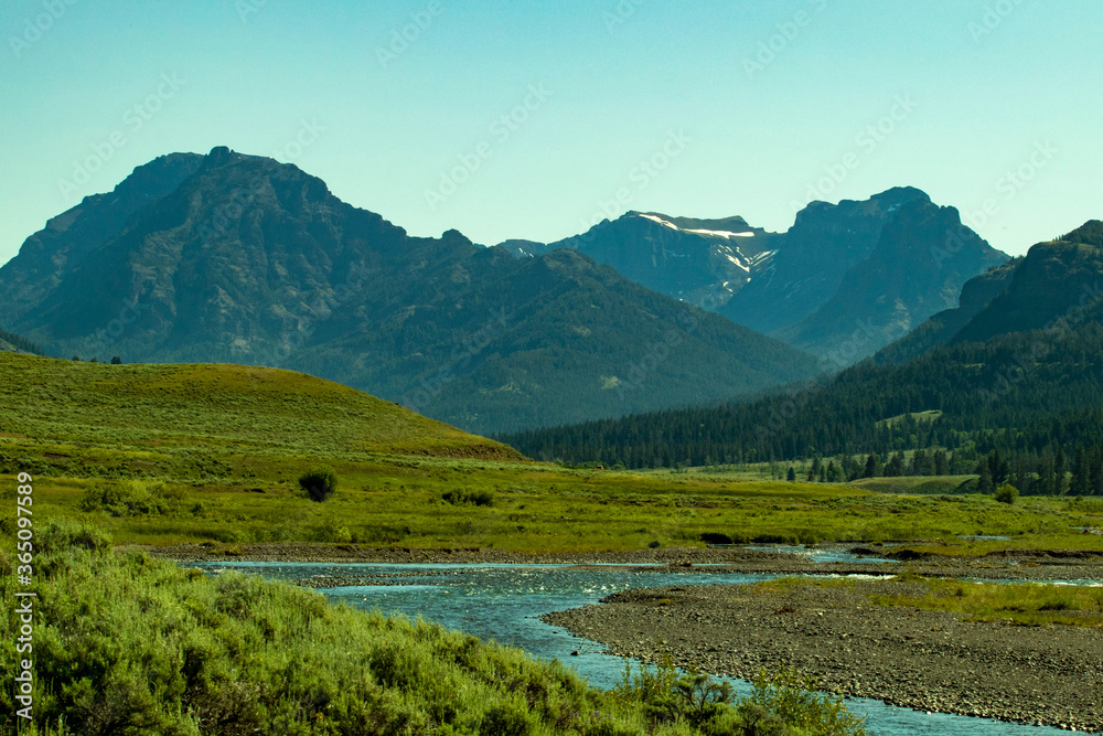 mountain landscape river through a meadow