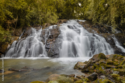 Fototapeta Naklejka Na Ścianę i Meble -  Forest Waterfall
