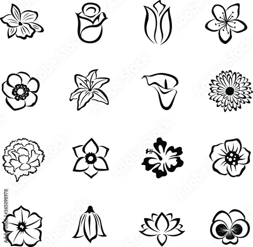 flower icon set