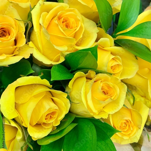 bouquet of yellow roses