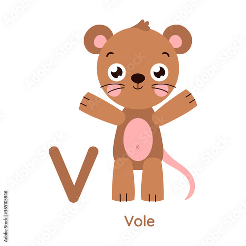 Vector alphabet letter V vole illustration