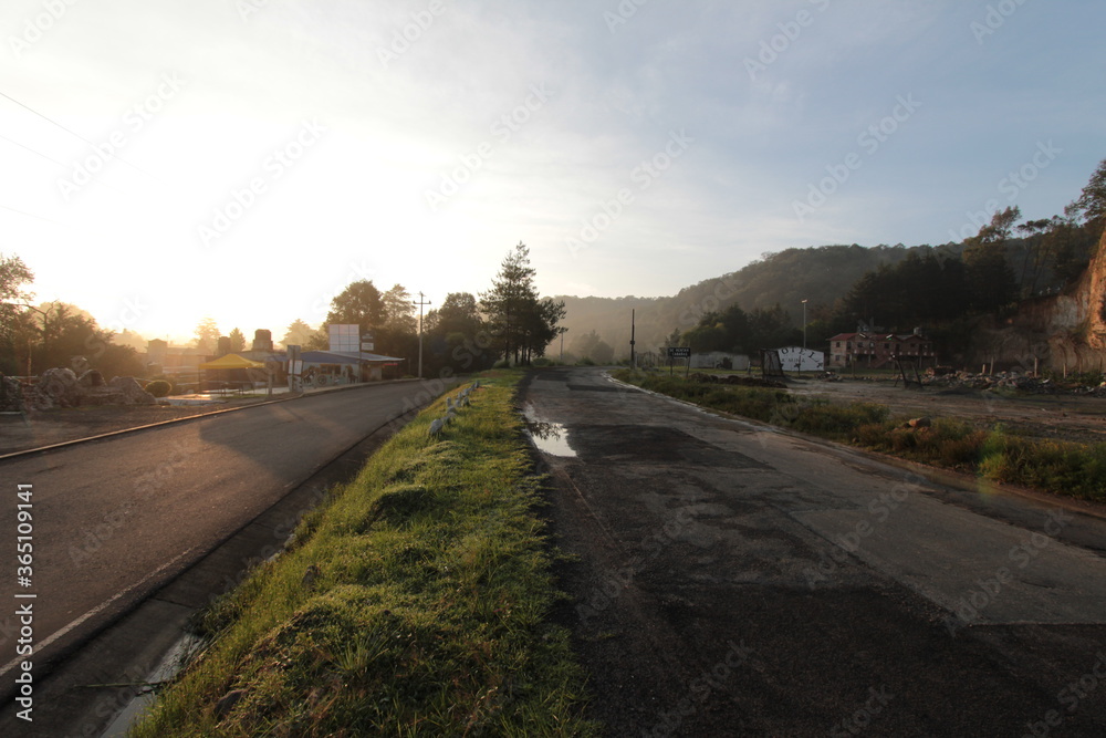 Obraz premium Road in the forest