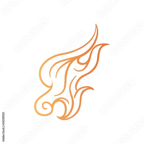 fire flame