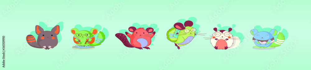 set of chinchilla pet drawings. vector illustration