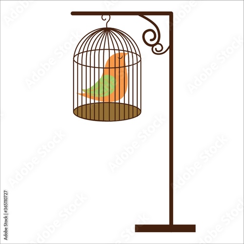 bird in cage